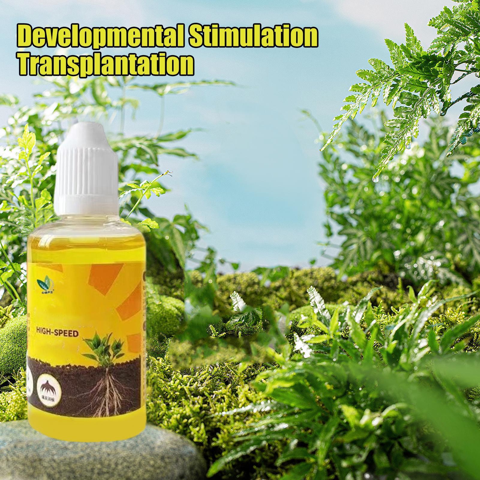 Plant Rooting Stimulator Liqui - đánh giá và giá Root Stimulator Liquid
